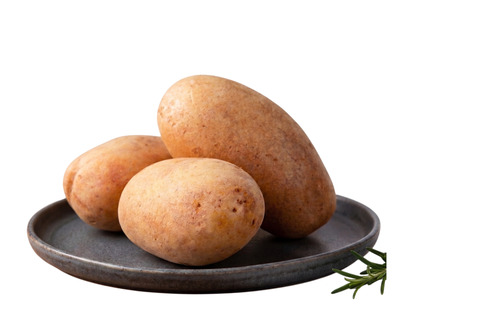 Premium Export Quality Fresh Kufri Pukhraj Potato - Cultivation Type: Conventional