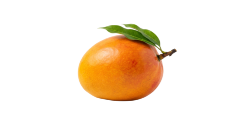 Ratnagiri Alphonso Mango - Color: Yellow