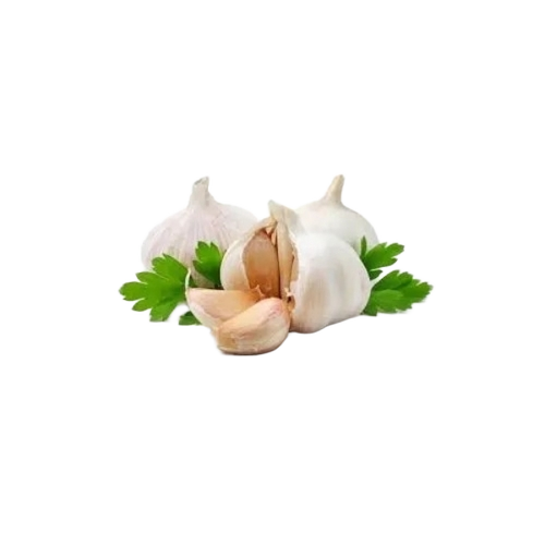 Fresh Garlic