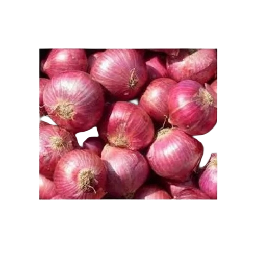 Organic Red Onion