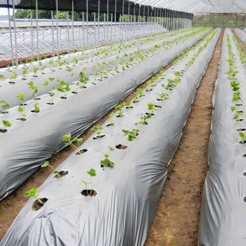 Agriculture Mulch Film