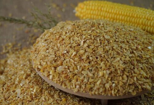 Corn Germ