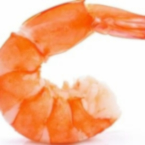Fresh Prawn - Additives: None