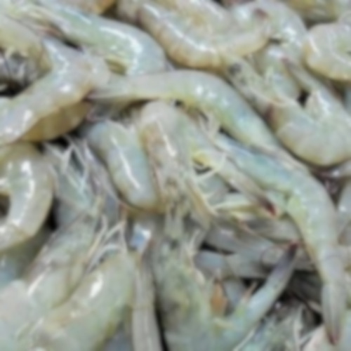 Fresh Shrimp - Additives: None