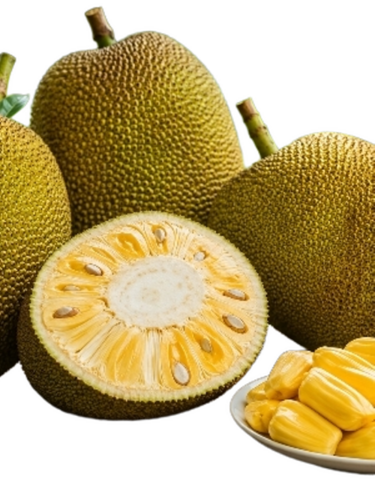 Jack Fruit
