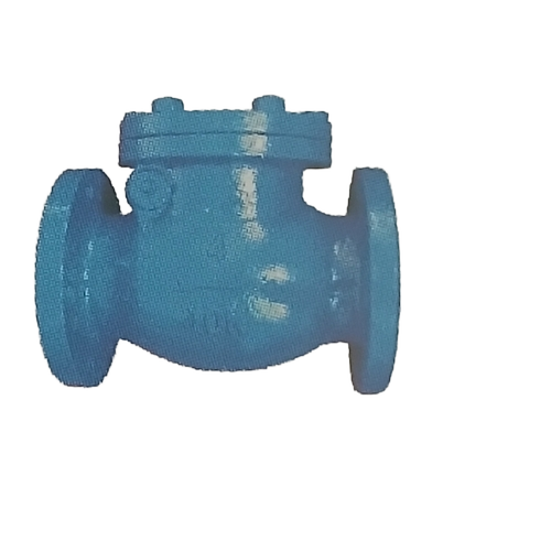 Swing Check Valve