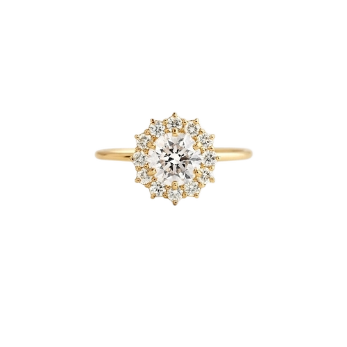 Round Halo Moissanite Stone Ring