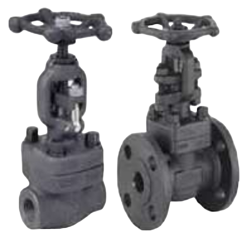 50mm Forged Steel Valve
