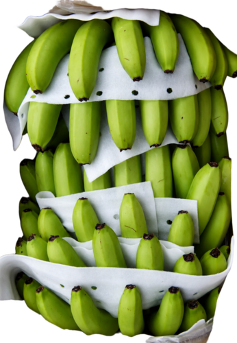 Fresh Banana