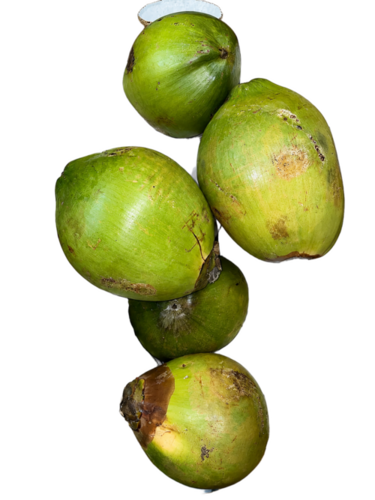 Fresh Tender Coconut