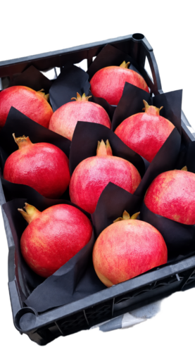 Pomegranate Fruit