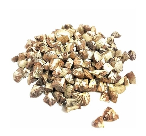 Betel Nuts