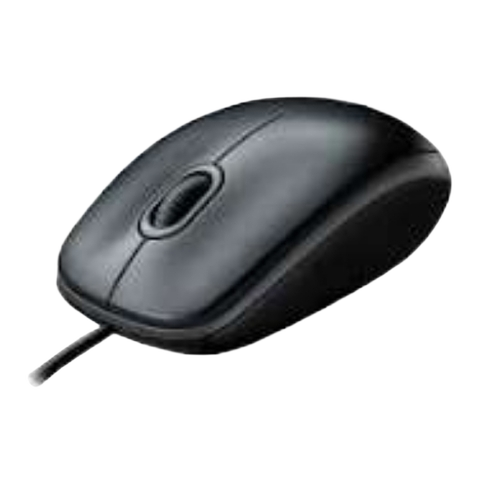 Computer Mouse