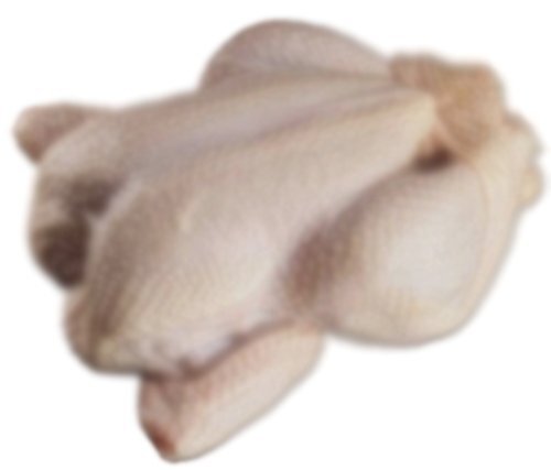 Premium Quality Frozen Whole Chicken