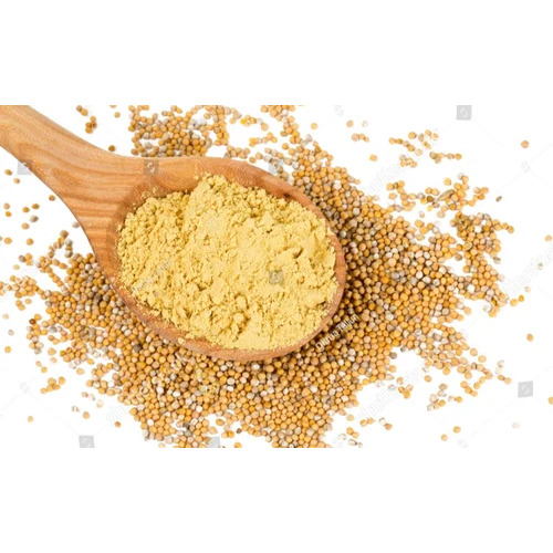 Yellow Mustard Powder - Grade: Food Grade