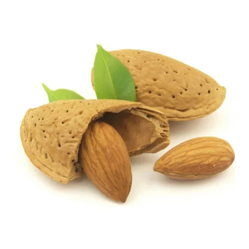 Bari Shell Almond - Color: Brown