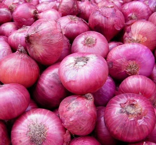Onion Seeds
