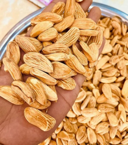 White Afghani Mamra Capsule Almonds - Color: Cream