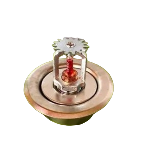 Automatic Fire Sprinkler