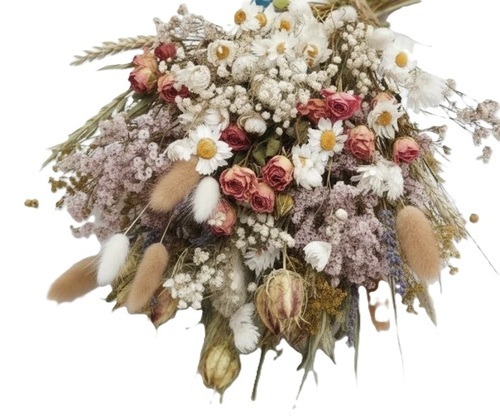 Dry Petals Flower 