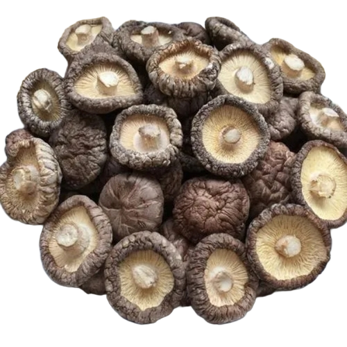 Dried Button Mushroom