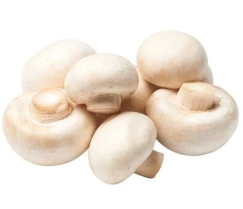 Fresh Button Mushroom