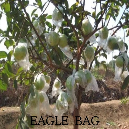 Non Woven Fruit Cover