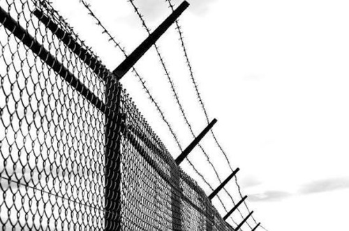 Security Fencings