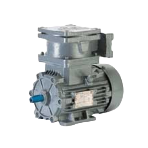 Bharatbijli Flame Proof Motors