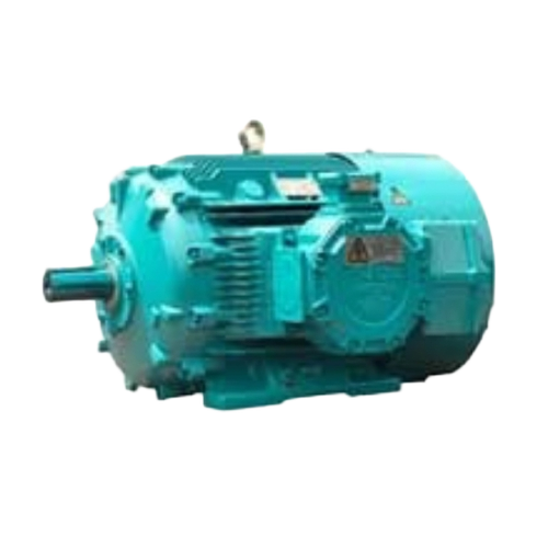 Cg Flame Proof Motors