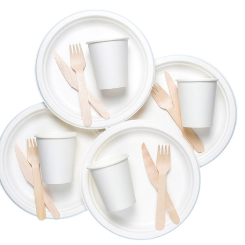 Disposable Cups And Plate Set