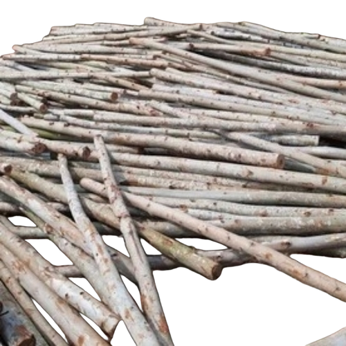 Nilgiri Wood Poles Centering Teka