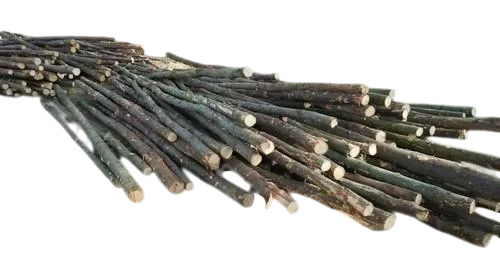 Wood Poles