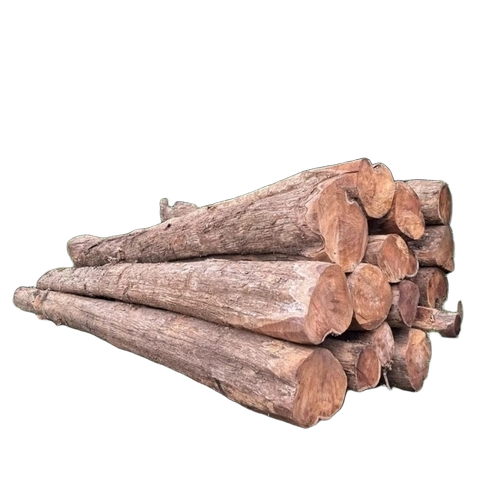 8 Feet Premium Indian Teak Wood Log