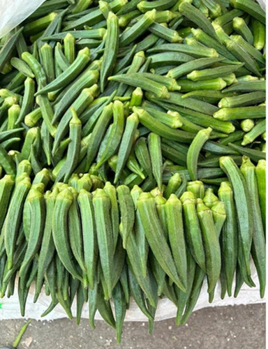 Green Lady Finger