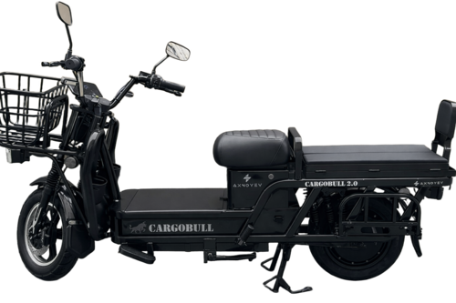 Cargobull 1.0 Electric Bike (No Rto Registration) - Color: Signature Brown