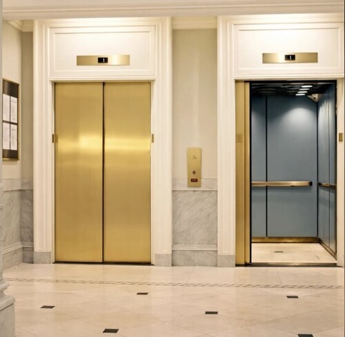 13 Person Mall Passenger Lift
