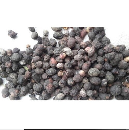 Dry Jamun Seed - Cultivation Type: Common