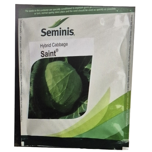 Seminis Cabbage Seed Saint