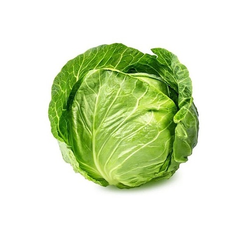 Green Cabbage