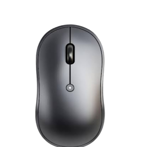 Computer Mouse