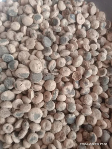 Nirgundi Leaf Powder - Grade: A
