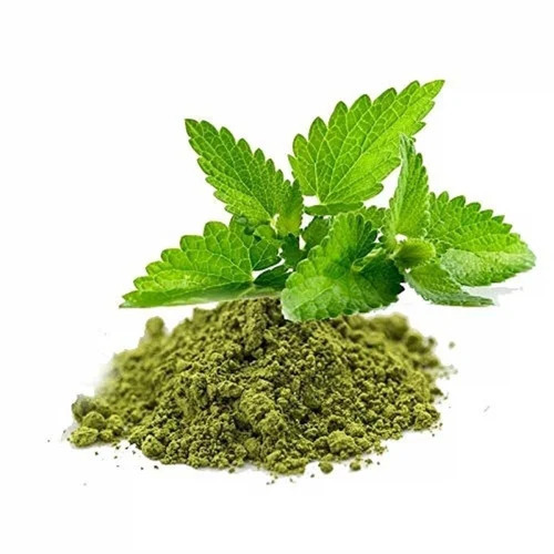 Basil Leaf Powder - Purity: 100%