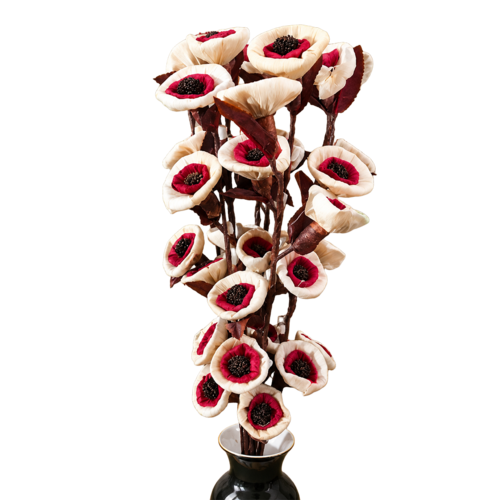 Tecksoi Maroon Daisy Corn Rose Flower Sticks - Breed: 24 Inch