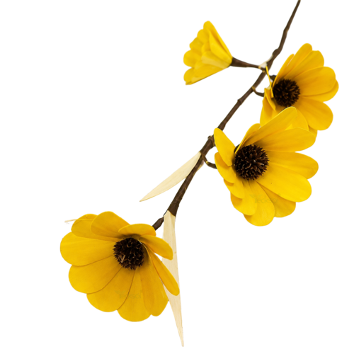 Tecksoi Yellow Palm Daisy Flower Sticks - Color: Natural