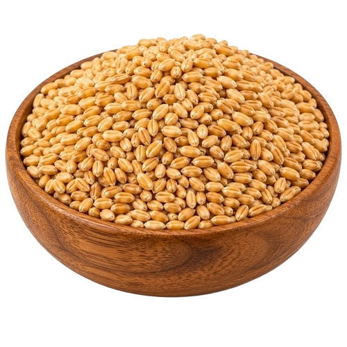 Dried Wheat