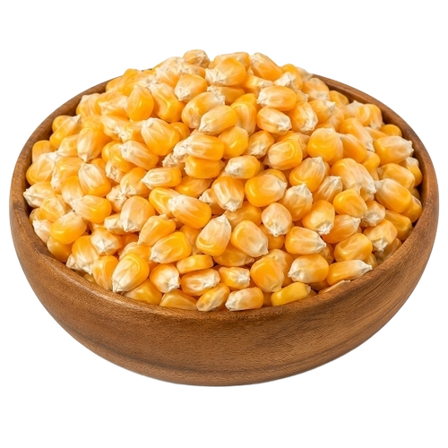 Maize Corn