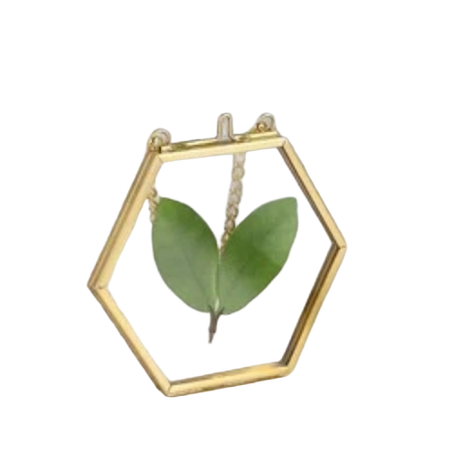 Hanging Brass Glass Frame