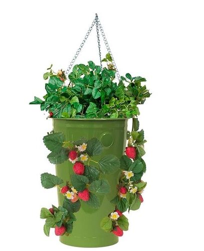 Hanging Strawberry Planter