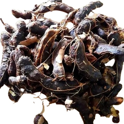 Fresh Dry Tamarind 